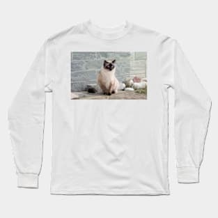 Siamese Cat Digital Painting Long Sleeve T-Shirt